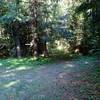 The trailhead is indicated only by several metal tags (arrow) nailed to a nearby tree.