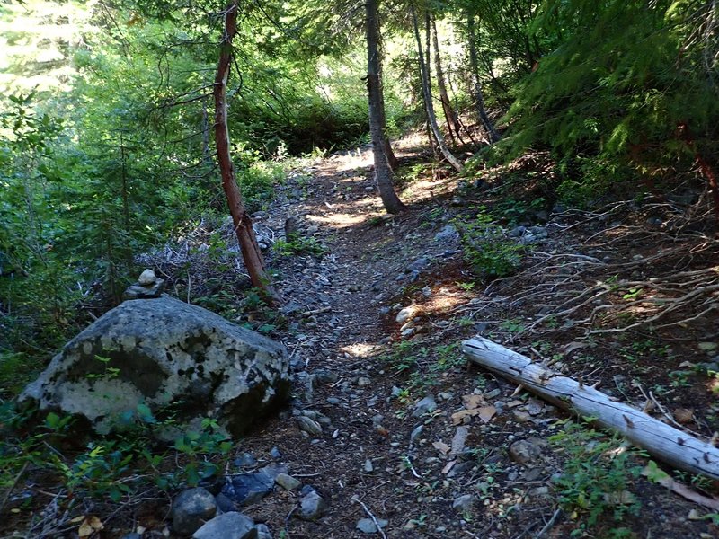 Some sections of the old trail are still clearly visible.