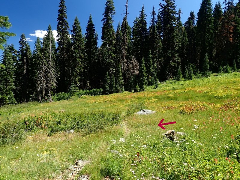 The junction with the Boundary Trail in Grass Valley is marked only with a cairn (under the arrow).