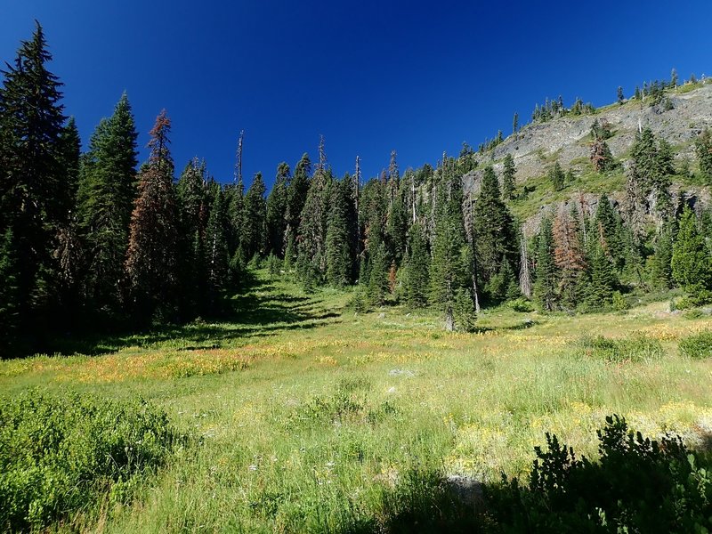 Grass Valley with Swan Mountain on the right.