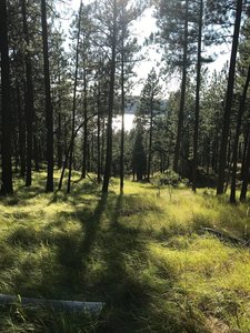 High point on trail looking at Liberty Lake.