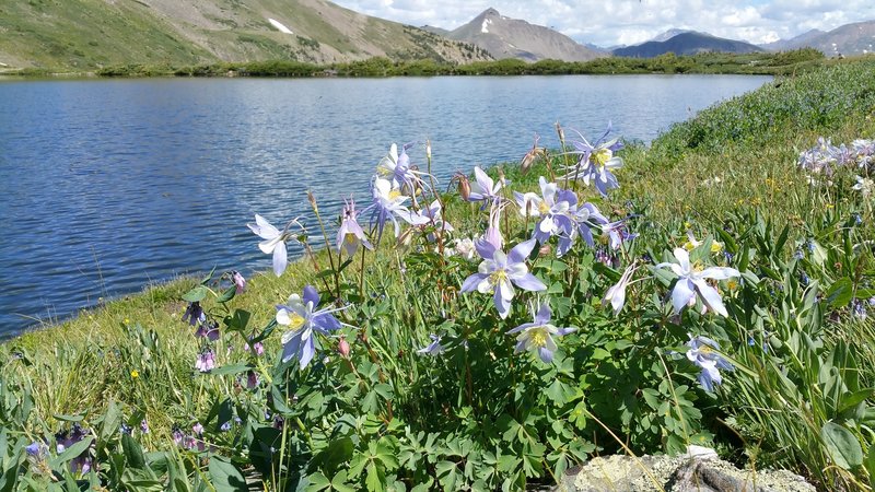 Ptarmigan Lake