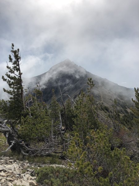 The final approach to Mt Aix