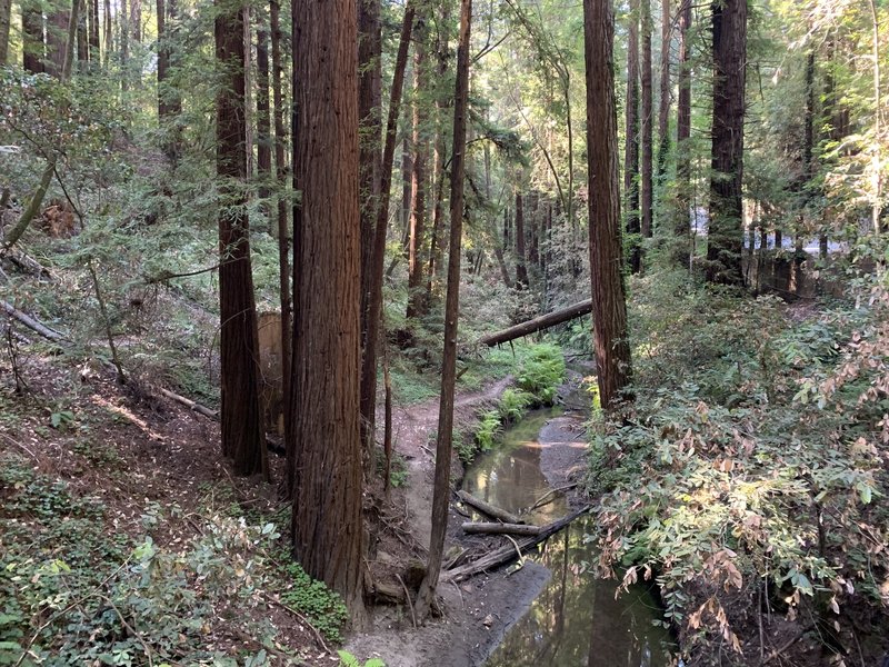 Trail begins to the left past the gate.