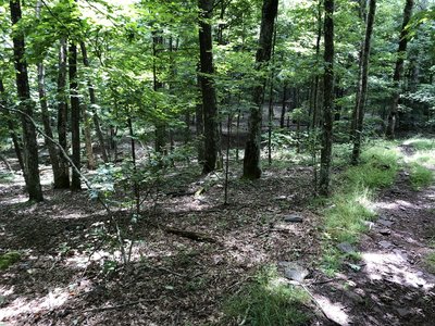 way to kelly knob