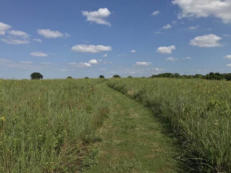 Trail through the prairie