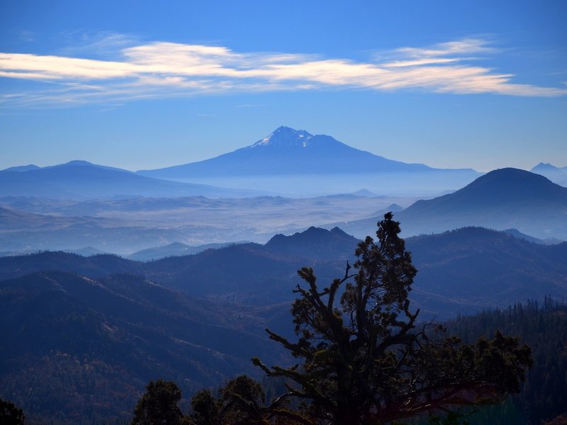 Mount Shasta from Rhyolite Ridge