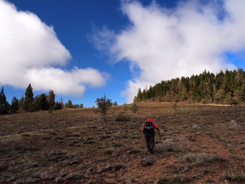 Climbing to the ridge from the Lone Pilot Trail