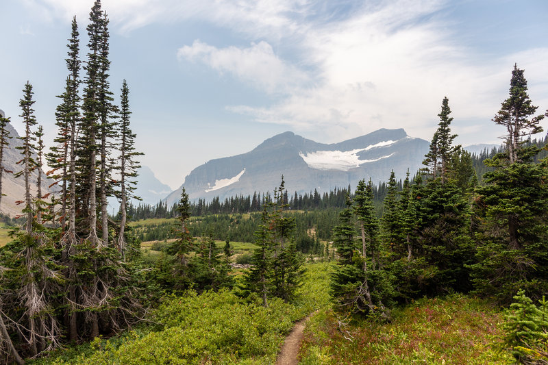 Piegan Mountain from Preston Park