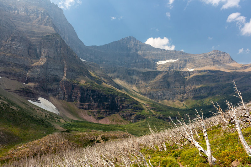 On your ascent to Siyeh Pass, you'll pass through an area burned a few years ago