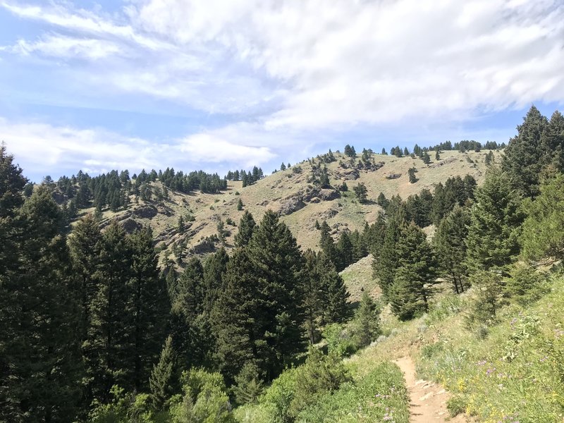 20 minutes into the Sypes Canyon trail