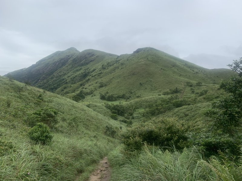 The grassy mountain