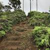 Trail at one of the steep ascents