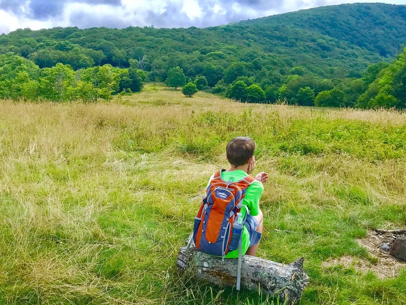 A young hiker enjoys the view of Whigg Meadow and beyond.