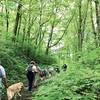 A group of hikers works there way up from Mud Gap to Whigg Meadow on this kid and dog friendly trail.