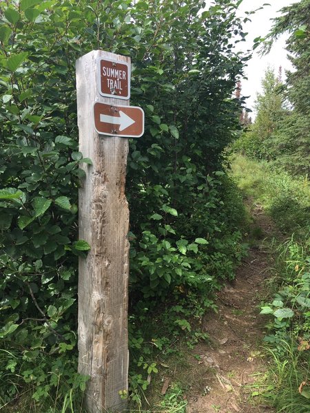 The upper summer trail sign where the winter and summer trails merge.