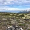 Hiking along the ridgetop over the delicate vegitation with great space and views.