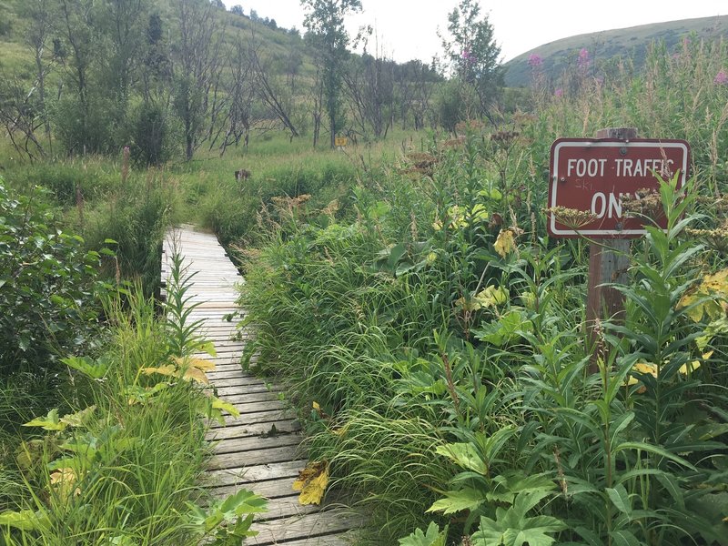 Finally the bridge, which marks the end of the route and beginning of an established trail.