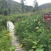 Finally the bridge, which marks the end of the route and beginning of an established trail.