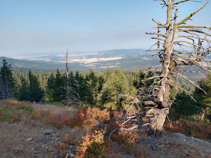 Spokane from Mica Peak