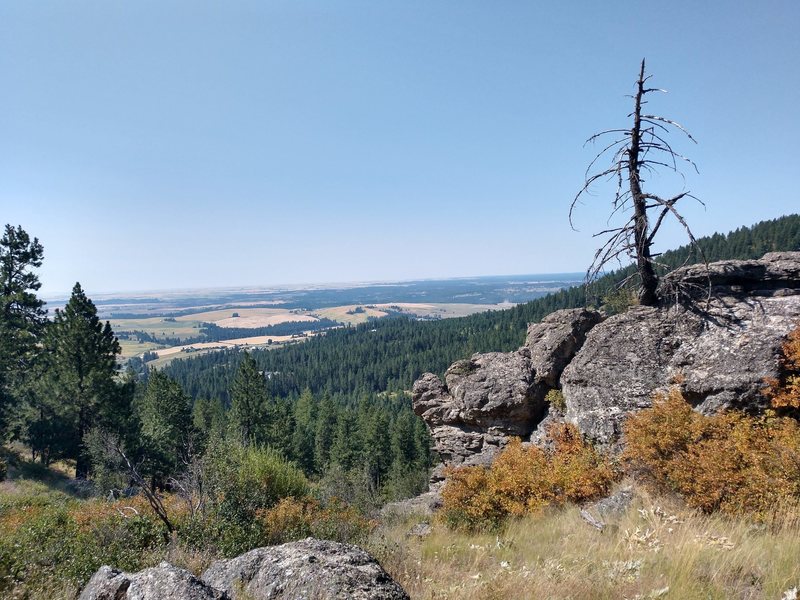 View of the Palouse from Big Rock