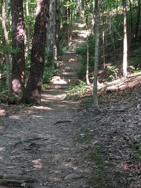 Furnace Run trail, CVNP