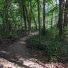 Furnace Run trail, CVNP