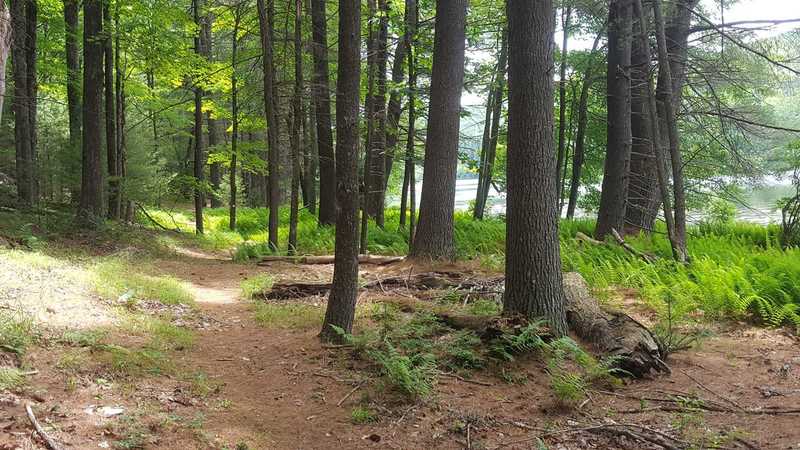 Port Jervis, NY - Brewer's Reservoir Loop:  On the Out N Back Trail