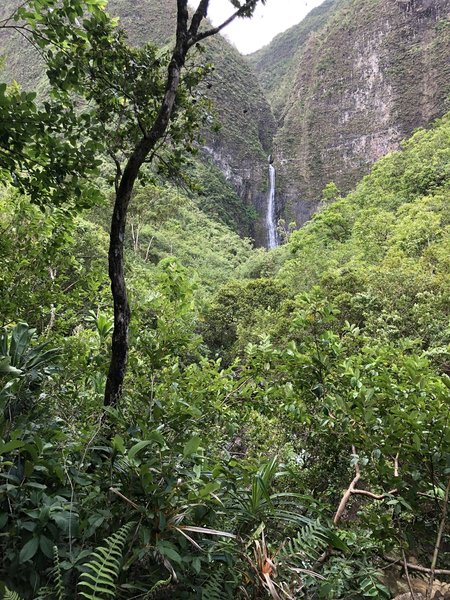 First view of falls