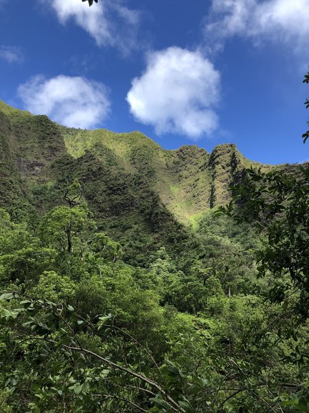 View of the ridge above the stream