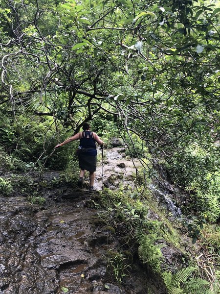 The wet rocks are very slippery and are at the top of a small waterfall on the right