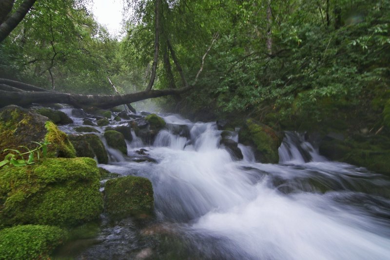 River going through Spring Hollow Campground.