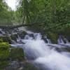 River going through Spring Hollow Campground.