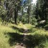 Bailey Canyon Trail