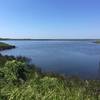 First overlook of the sound on the Audobon Pine Island Nature Trail