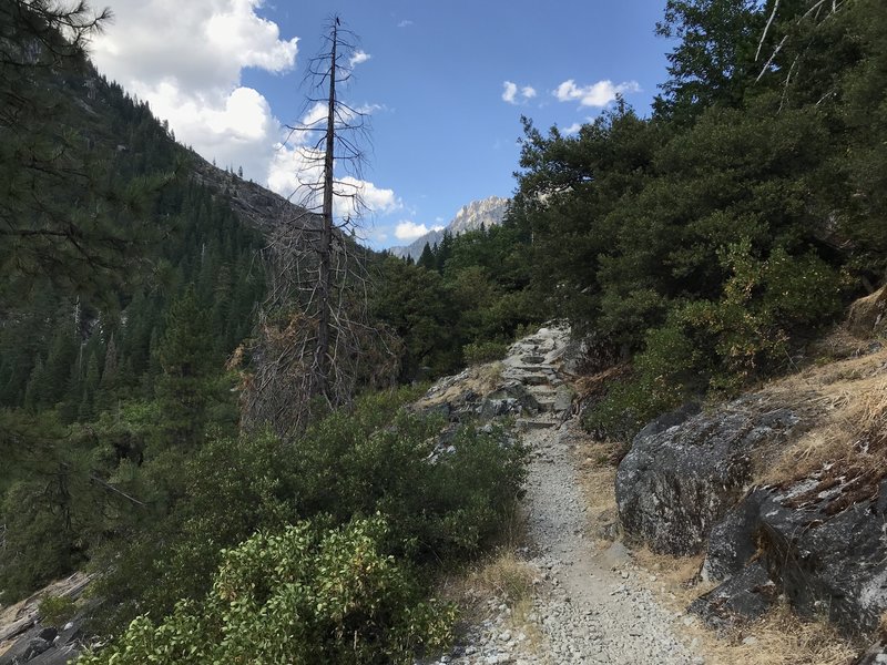 Canyon Creek Trail