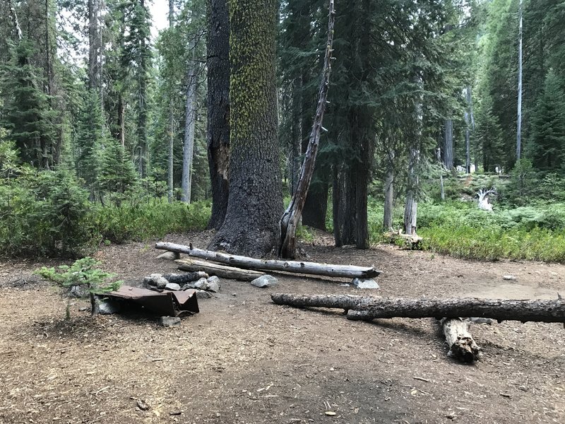 Camp site on Boulder Creek Trail