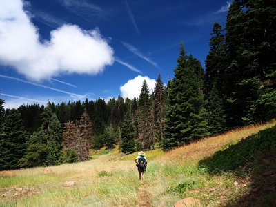 A sunny day on the Boccard Point Trail