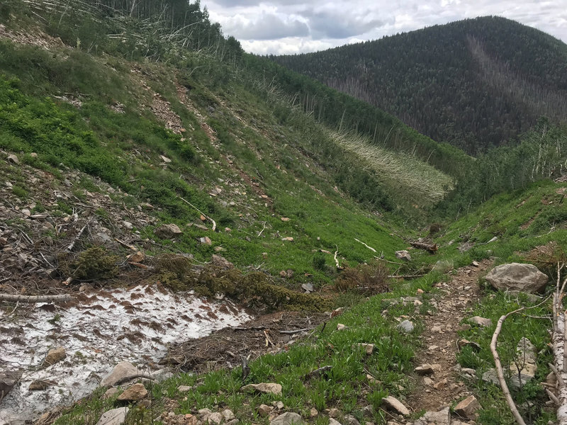 Avalanche debris