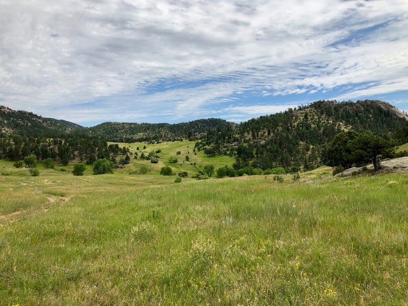 Looking north east from the Johnny Park Connector trail