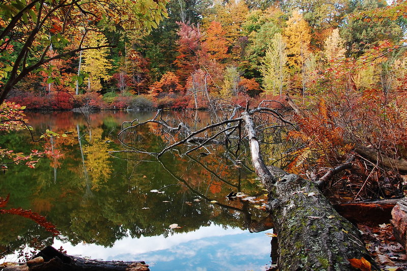 Devils Bathtub with autumn colors.