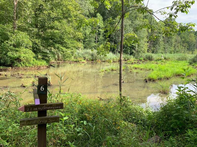 End of the Bridge Spur (A single ACLT guest canoe is not pictured)