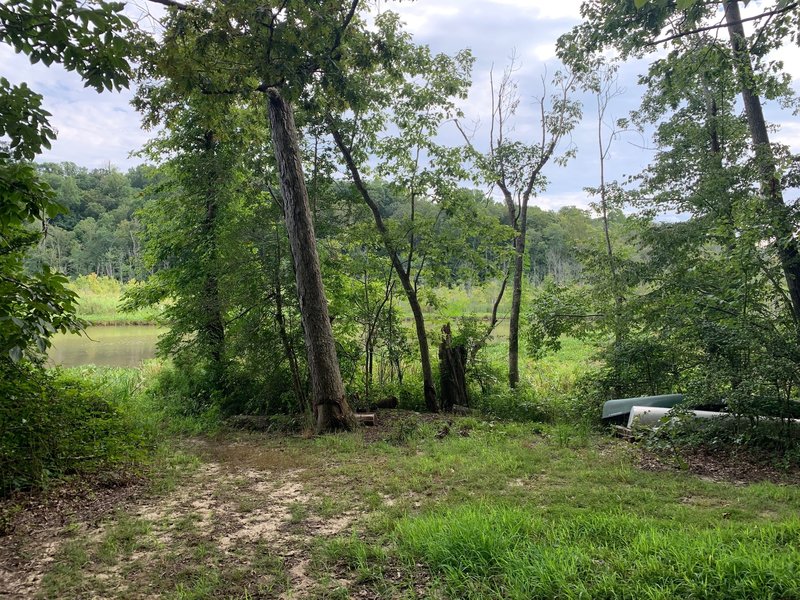 Overlooking Parkers Creek