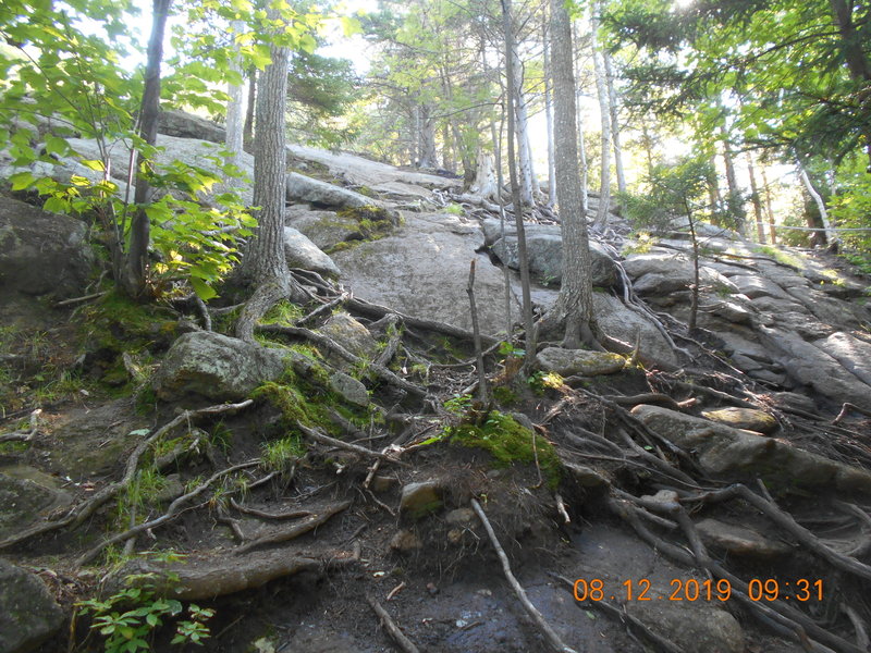 Area close to the summit.