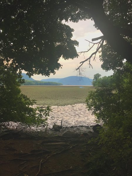 Late Summer Hudson River at the beginning of the trail.