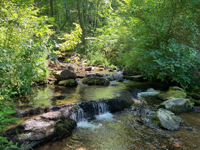 Creek just above the falls