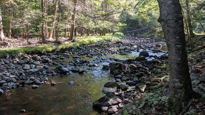 Big Flat Brook meanders alongside Blue Mountain Trail in Stokes State Forest.