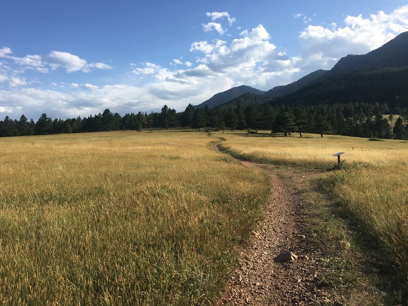 This section of the Spring Brook Loop affords gorgeous views of the flatirons and Eldorado Canyon State Park.