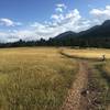 This section of the Spring Brook Loop affords gorgeous views of the flatirons and Eldorado Canyon State Park.