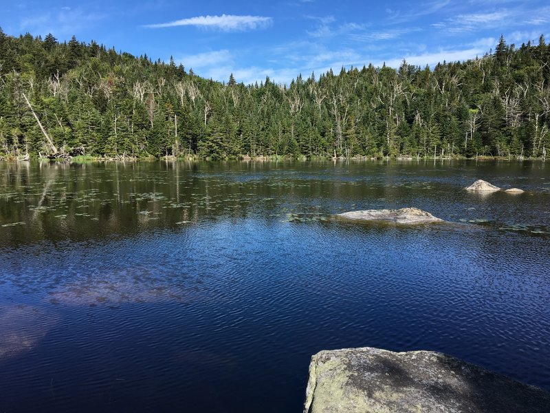 Cooper Kiln Pond